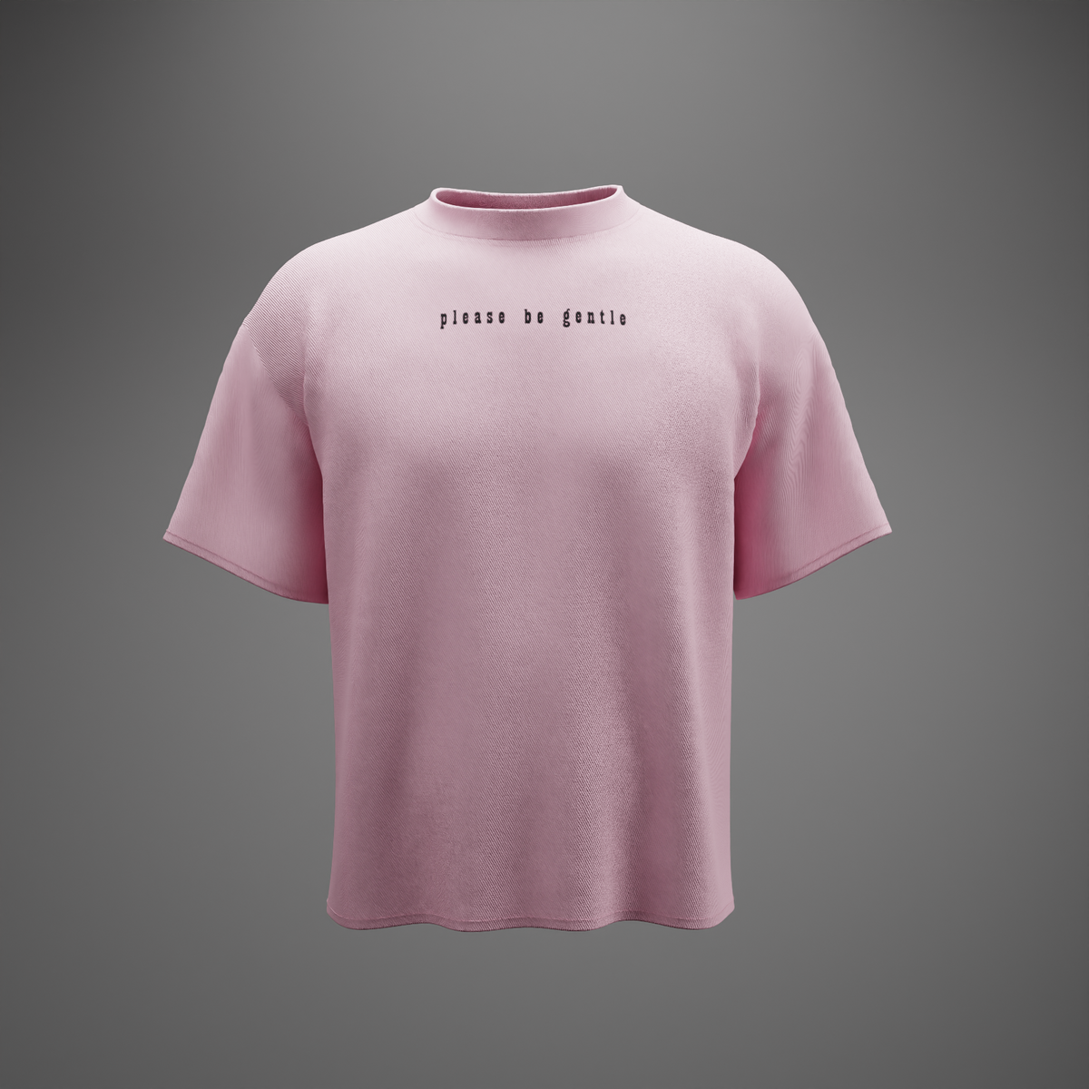 PLEASE BE GENTLE : The VIRGIN Tee – Oversized T-Shirt