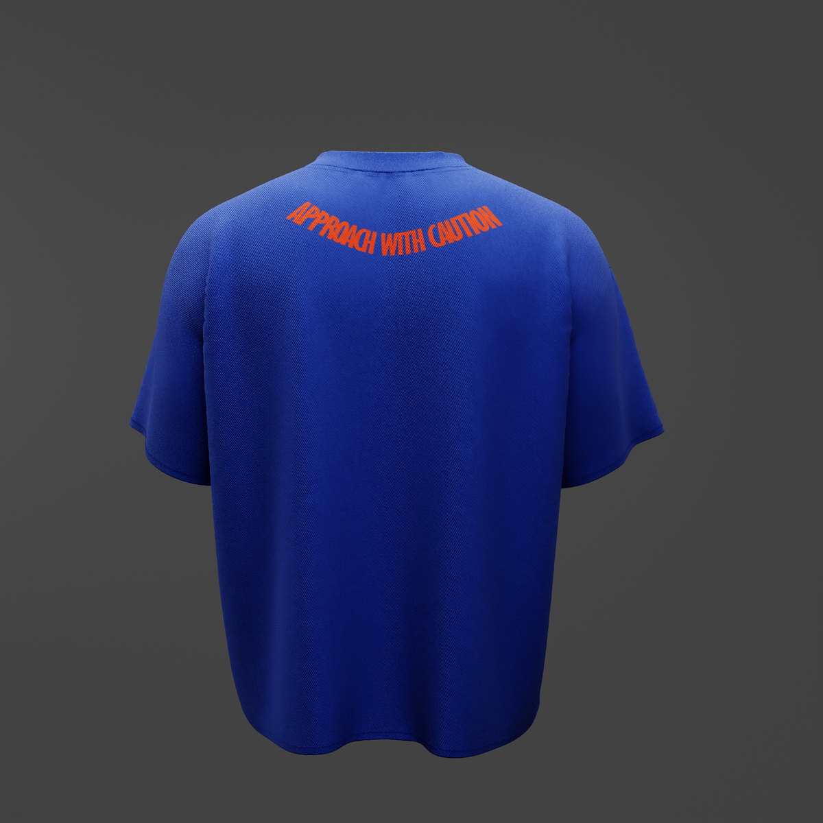 APPROACH WITH CAUTION – Oversized T-Shirt