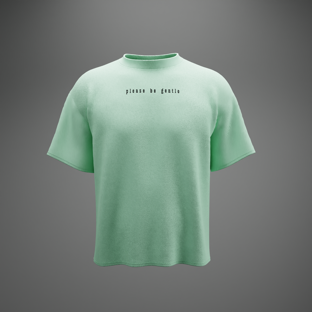 PLEASE BE GENTLE : The VIRGIN Tee – Oversized T-Shirt