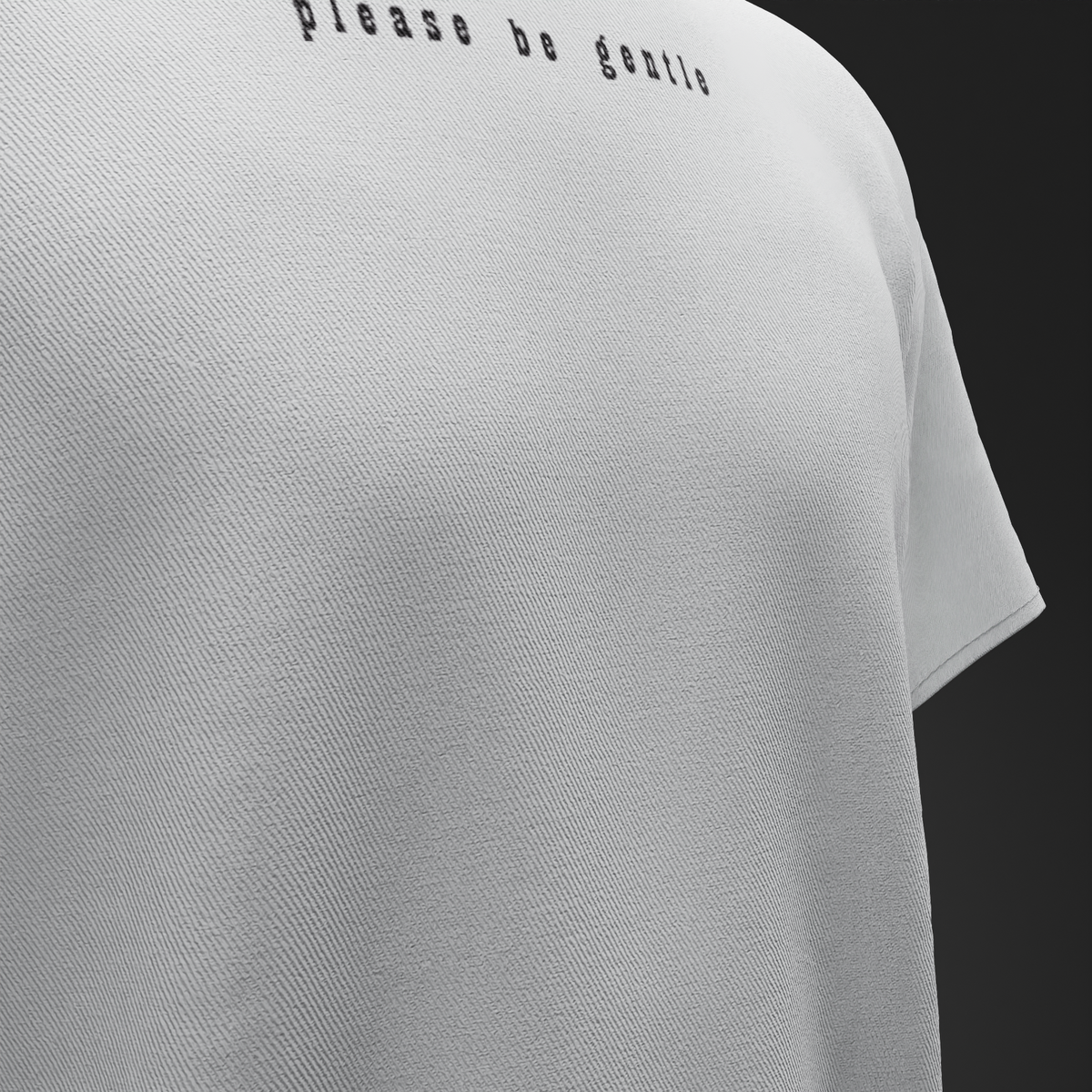 PLEASE BE GENTLE : The VIRGIN Tee – Oversized T-Shirt