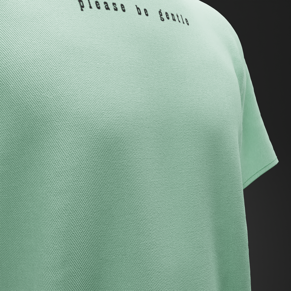 PLEASE BE GENTLE : The VIRGIN Tee – Oversized T-Shirt