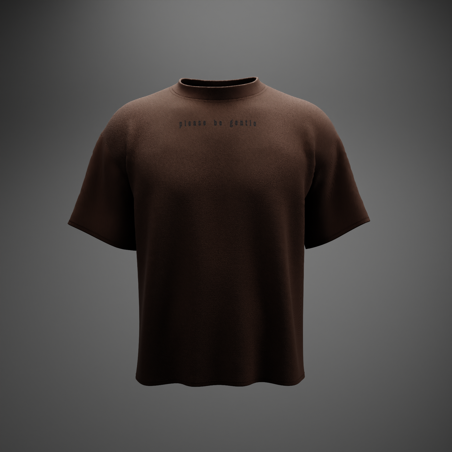 PLEASE BE GENTLE : The VIRGIN Tee – Oversized T-Shirt