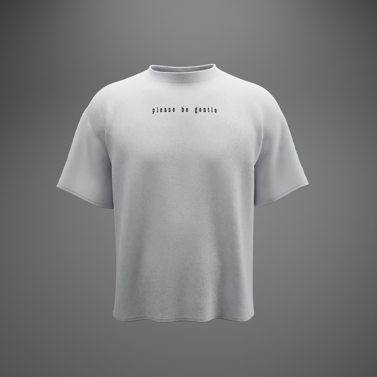 PLEASE BE GENTLE : The VIRGIN Tee – Oversized T-Shirt